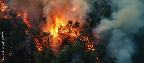 Drone captures fire in pine forest from above.