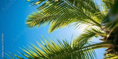 Tropical escape: lush palm leaves against a clear blue sky. perfect for travel and nature themes. inviting, relaxing ambiance. AI