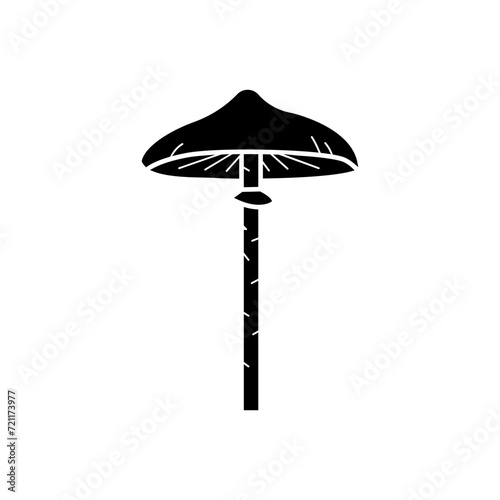 Mushroom vector icon. food illustration sign. fungus symbol or logo.