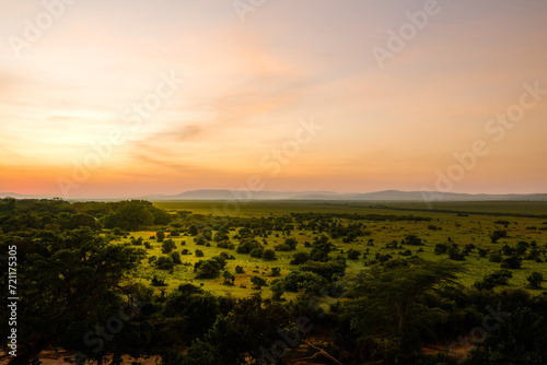 Panorama in africa at sunrise, viewed from a hot air balloon, Masai Mara National Reserve, Kenya.