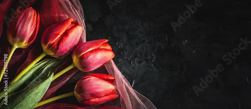 Panel kuchenny z motywem Tapeta w kwiaty, czerwone tulipany na ciemnym tle, puste miejsce 