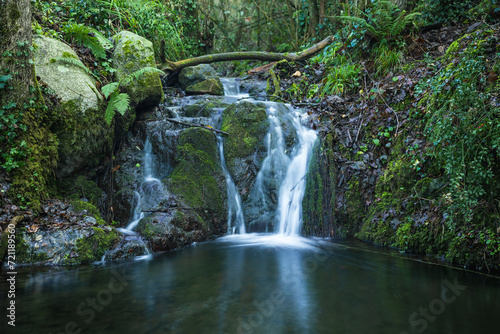 Pequeña cascada en un arroyo de un bosque del Montseny