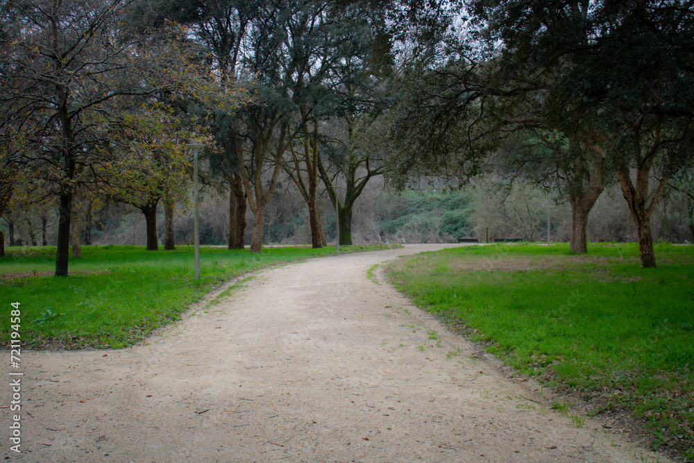 path in the park for the green trees
