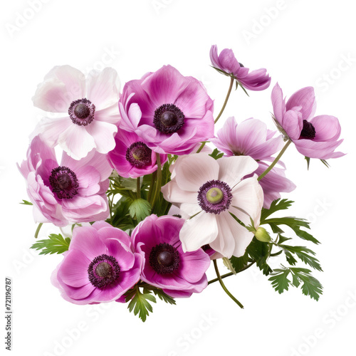 flower -  bouquet of Anemone flowers in purple and white