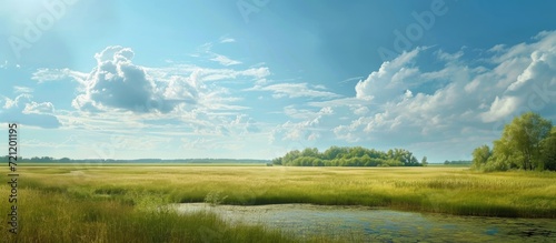 Clear sky and open fields on a summer day