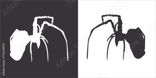 Illustration vector graphics of spider icon