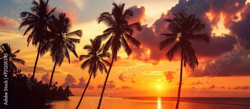 Silhouettes of palm trees and a stunning cloudy sunset on a tropical island in the Indian Ocean.
