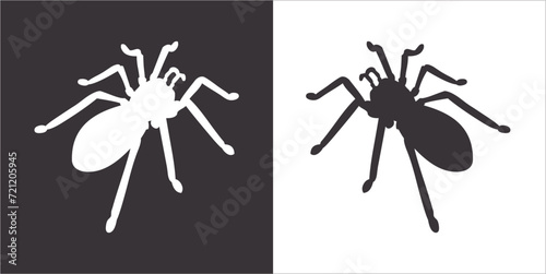 Illustration vector graphics of spider icon