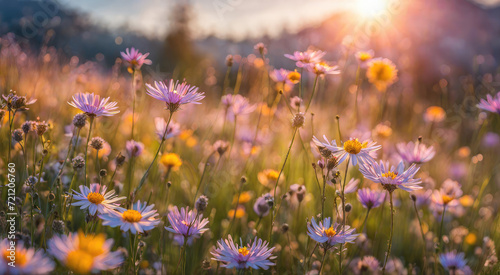 Peaceful meadow with Colorful wildflowers and a radiant sunset in the background