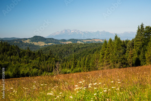 Górski pejzaż