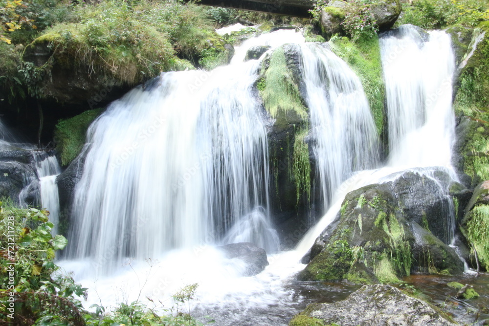 Obraz premium waterfall in the forest