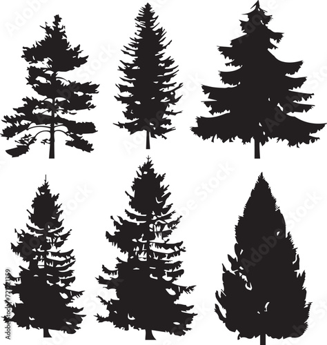 A set of Christmas trees. Hand drawn vector illustration 