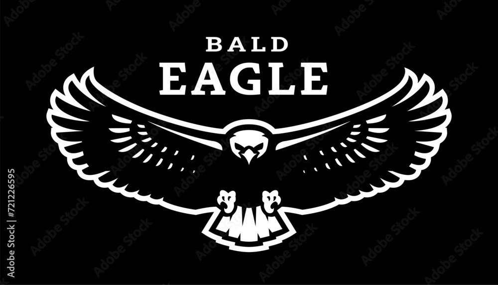 Fototapeta premium Bald eagle in flight on a dark background.
