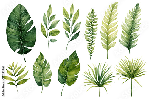  tropical leaves in shades of green with a watercolor effect on a white background.