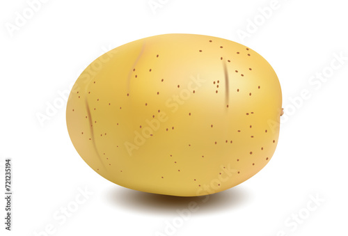 potato on white background