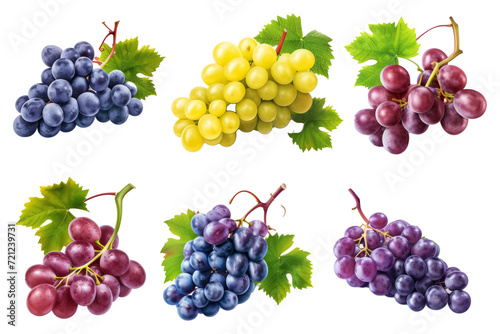 Set of grapes of different varieties and colors