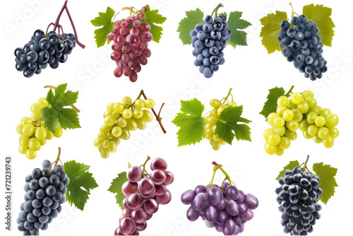 Set of grapes of different varieties and colors