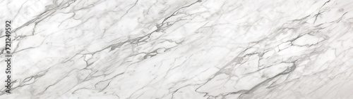 Texture Tales: Bianco Carrara Marble
