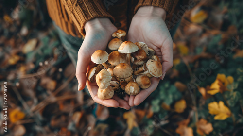 Hands of girl collecting mushrooms in forest