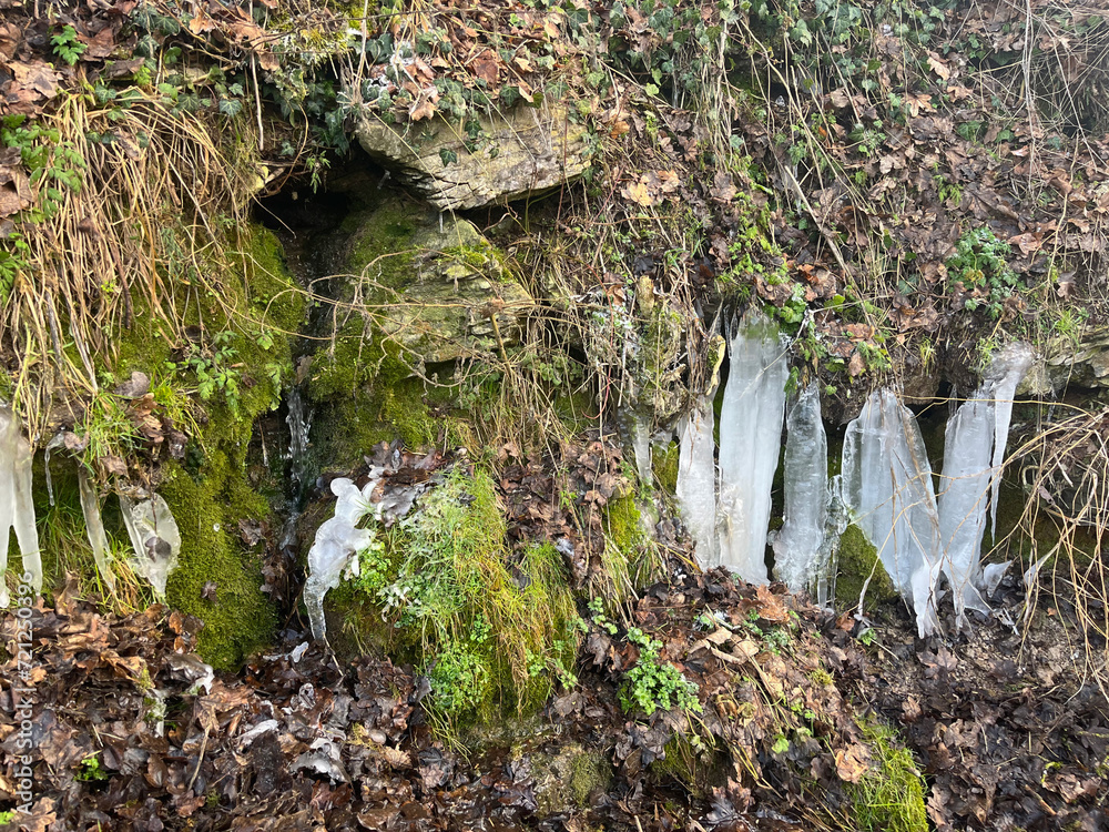 Fototapeta premium Clean and cold spring water bursts out of the ground to the surface. Winter-spring landscape