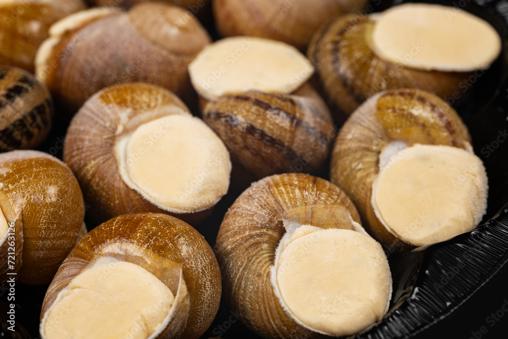 frozen snails in the supermarket as a texture frozen snails in the supermarket as a texture