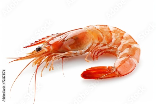 Shrimp or prawn isolated on white background