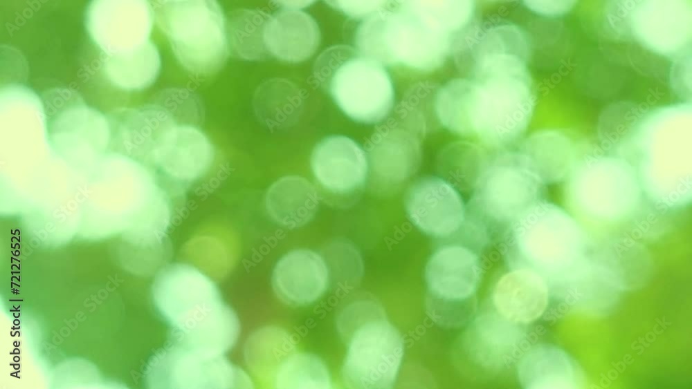 Beautiful green vibrant natural video bokeh abstract background Beautiful green vibrant natural video bokeh abstract background