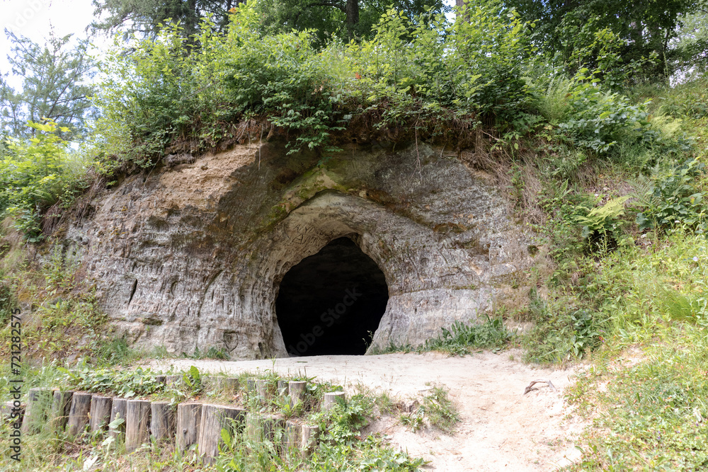 Fototapeta premium Nature view with trees and a cave built in the rock