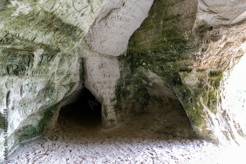  Nature view with trees and a cave built in the rock