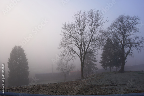 Winter landscape at sunrise with fog and deciduous trees photo