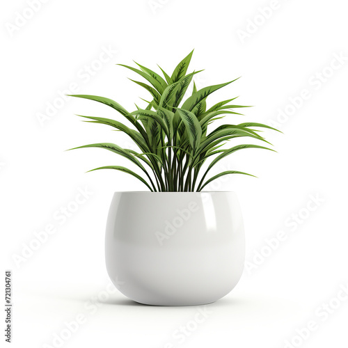 Vibrant green houseplant with slender leaves in a glossy white spherical pot on a white background