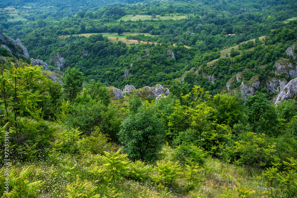 Obraz premium This is mountain village in Jelasnicka Klisura (gorge). That is way to Suva planina (mountain). View from the Prozorac viewpoint (Jelasnicka Gorge, Suva Planina).