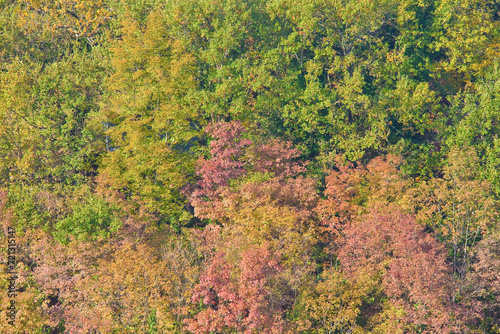 Italian autumn landscape - Full frame shot concept background