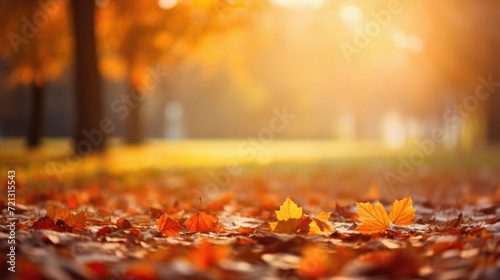 Autumn leaves on the ground in the park. Beautiful nature background