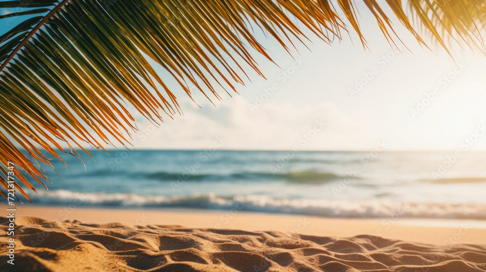 Close up of palm leaf on the beach with sea background, vintage tone