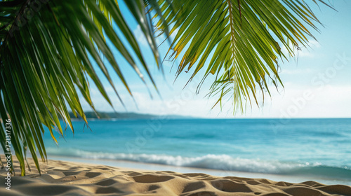 Tropical beach with palm leaves and sea on blue sky background