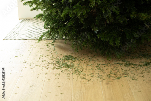 Fallen spruce needles on the floor, trash from dried Christmas tree