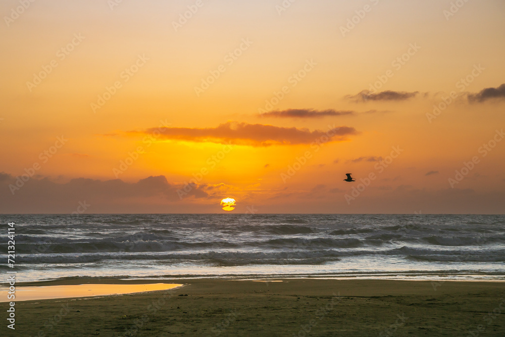 Sunrise over the ocean, with aq bird flying into the scene.