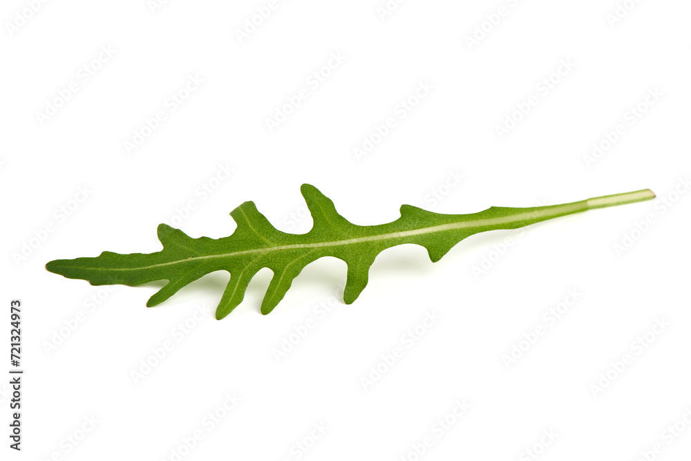 Arugula leaf, Isolated on white background. Arugula leaf, Isolated on white background.
