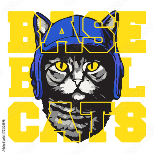 Illustration of a Cat with a Blue Baseball Cap with the text "BASEBALL CATS". Great for t-shirts when watching baseball and perfect for fans of cats and baseball. Suitable for designs on t-shirts