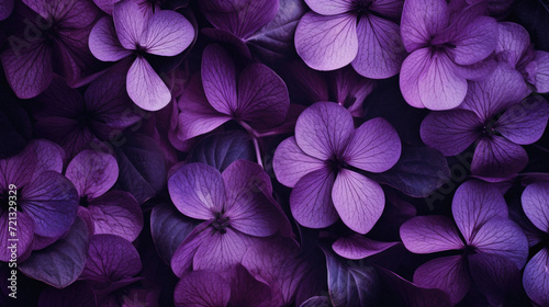 Beautiful purple hydrangea flowers background, close up . © Art AI Gallery