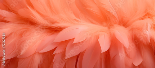 abstract texture of peach fuzz color colored feathers background banner wallpaper long wide