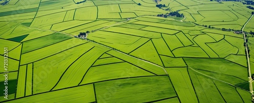 Wallpaper Mural An aerial perspective of expansive farmland stretching to the horizon. Torontodigital.ca