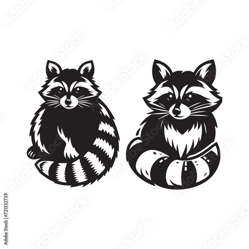 Dynamic Raccoon Sketches: Energetic Silhouettes Reflecting the Vitality of Wildlife - Raccoon Illustration - Raccoon Vector - Animal Silhouette Vector
