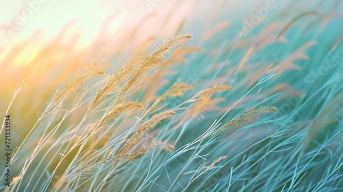 Cinematic grasses softly dance in a brief, calming flow, adorned with gentle hues in a serene landscape.