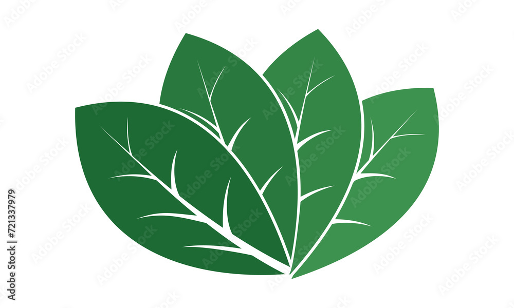 Naklejka premium Leaves nature illustration design vector