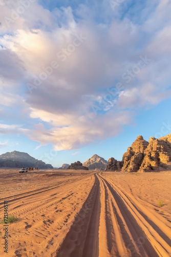 Wadi Rum, Jordan - Collecting camels with a pickup truck in the desert.