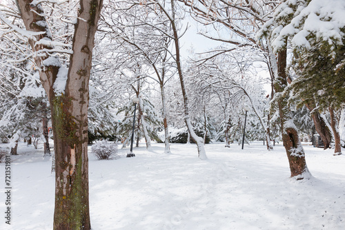 Beautiful winter landscape with trees covered with snow in the Park - Ankara, Turkey © muratart