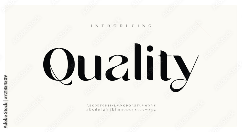 Quality Elegant Font Uppercase Lowercase and Number. Classic Lettering Minimal Fashion Designs. Typography modern serif fonts regular decorative vintage concept. vector illustration	
