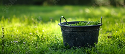 Prune the Green Grass with a Standing Bucket photo